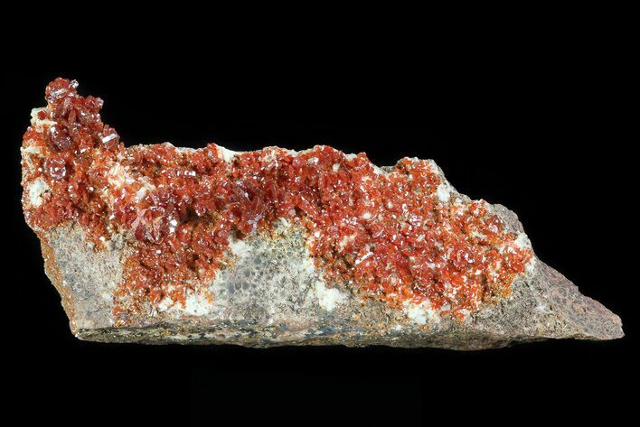 Ruby Red Vanadinite Crystal Plate - Morocco #82368